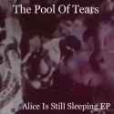 The Pool Of Tears - The One Who Felt Will Never Fall (NED)_thumb.jpg