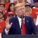 1732430617344649_thumb.jpg