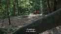 dente actually dead (audio)_thumb.jpg