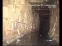 Sewer creature spotted!_thumb.jpg