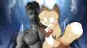 Why yes_thumb.jpg