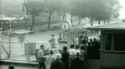 Modern household east germany 1967_thumb.jpg
