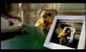 Mr Oizo, Flat Eric - Flat beat (Official Video)_thumb.jpg