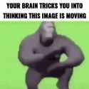 27d_thumb.jpg