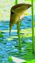 1709060304350138_thumb.jpg