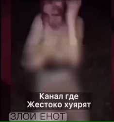 Thread 5912308 OP Image