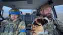 ukraine kitty comfy in car_thumb.jpg
