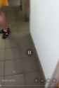 safe_bathroom_thumb.jpg
