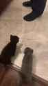 mess_thumb.jpg