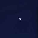 wandering black hole2_thumb.jpg