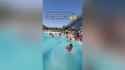 theme pool_thumb.jpg