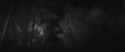 Wardruna - Hertan (Heart)_thumb.jpg