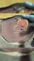 Beyblading for adults_thumb.jpg