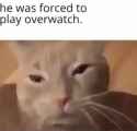 metal-1898946955042288035-01_thumb.jpg