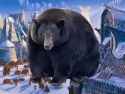 bearlad_thumb.jpg