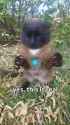 1555_49485946296 metal_thumb.jpg
