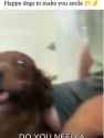 ezgif-5cd0c0d8452d1c_thumb.jpg