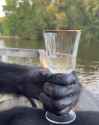 1737494714511967_thumb.jpg