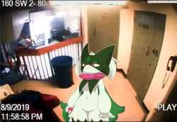 Thread 5920481 OP Image