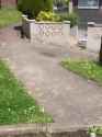 Bird stalking cat_thumb.jpg