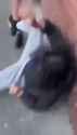 1752332212vF80qonmc_JcGA_thumb.jpg