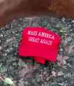 maga_thumb.jpg