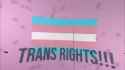 trans_rights_thumb.jpg