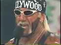 Hollywood Hogan vs. Old Lady_thumb.jpg