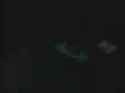 Tiny Toon Adventures - Toon Out Toon In_thumb.jpg