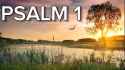 Psalm 001 - 4chan_thumb.jpg