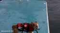 Corgi flop shooting stars [zC1wI_1QeSg]_thumb.jpg