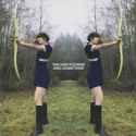The Nightgowns - Narwhal Aerobics_thumb.jpg