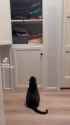 youtube video #sghhUoH7wmQ [sghhUoH7wmQ]_thumb.jpg