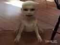 250217_thumb.jpg