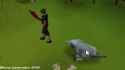 Oldschool Runescape shooting stars [PC42wFidzBY]_thumb.jpg