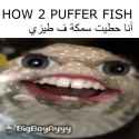 1628268864336_thumb.jpg