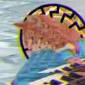 newtothisappp1-20250721-0007_thumb.jpg