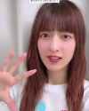 nogi_.23293_thumb.jpg