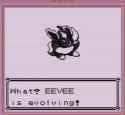 Pokemon stones_thumb.jpg