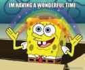 Spongebob Squarepants - Having a Wonderful Time_thumb.jpg