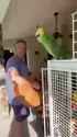 birbsong_thumb.jpg