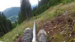 Alpine Coaster Enjoyer_thumb.jpg
