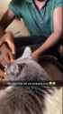 chadbasedrpilledkingcat_thumb.jpg