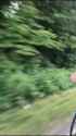 m2-res_1080p_thumb.jpg