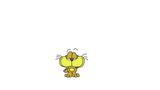 610015_nestmo_gaturro
