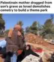 1738372675141456_thumb.jpg