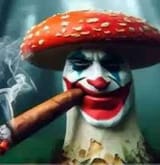 463591747_3316173598515918_2631560240656120308_njokerhard