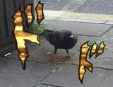 1739927524446620