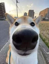 1670389857227482