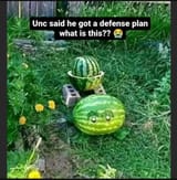 Thread 1533008 OP Image